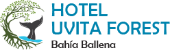 Hotel Uvita Forest :: Costa Rica