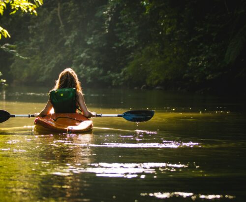 Tour de Kayak en Manglar