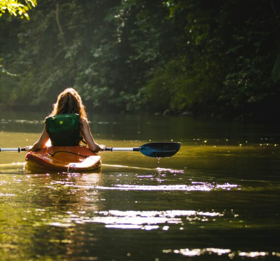 Tour de Kayak en Manglar