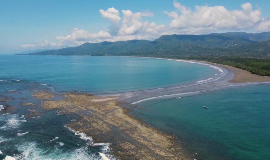 Horarios de Marea: La Guía para Caminar el Paso de la Ballena