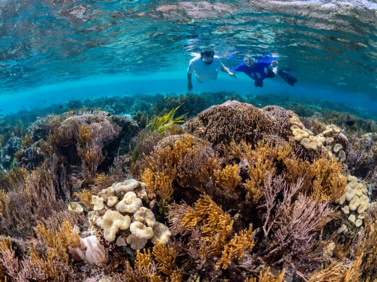 Snorkeling at Caño Island