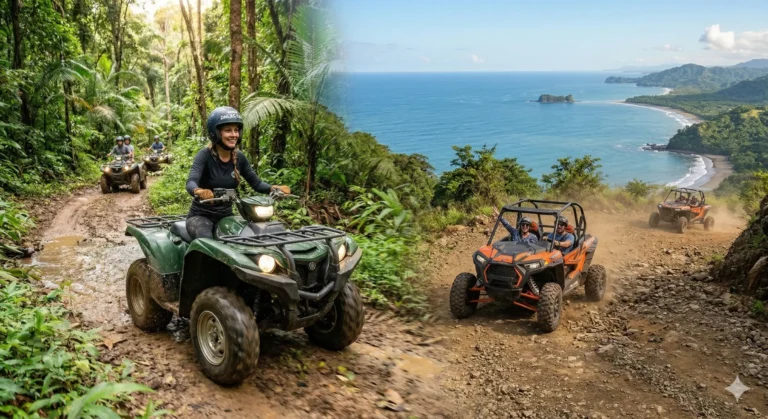 ATV / Quad Bikes
