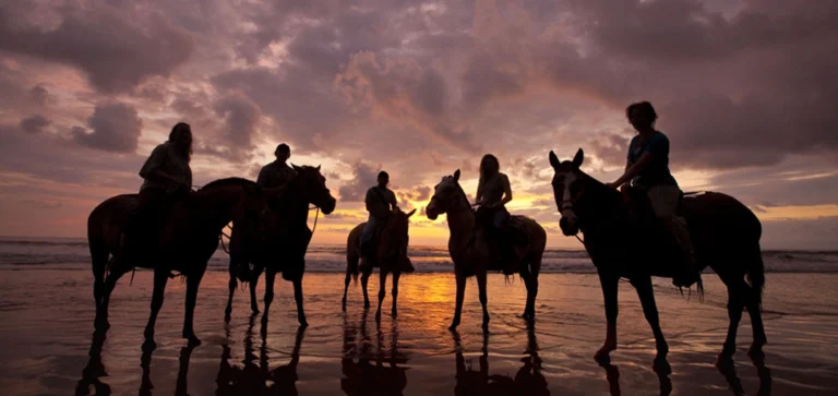 Horseback Riding (Beach or Mountain — Rancho La Merced)
