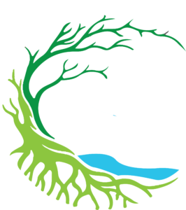 Hotel Uvita Forest