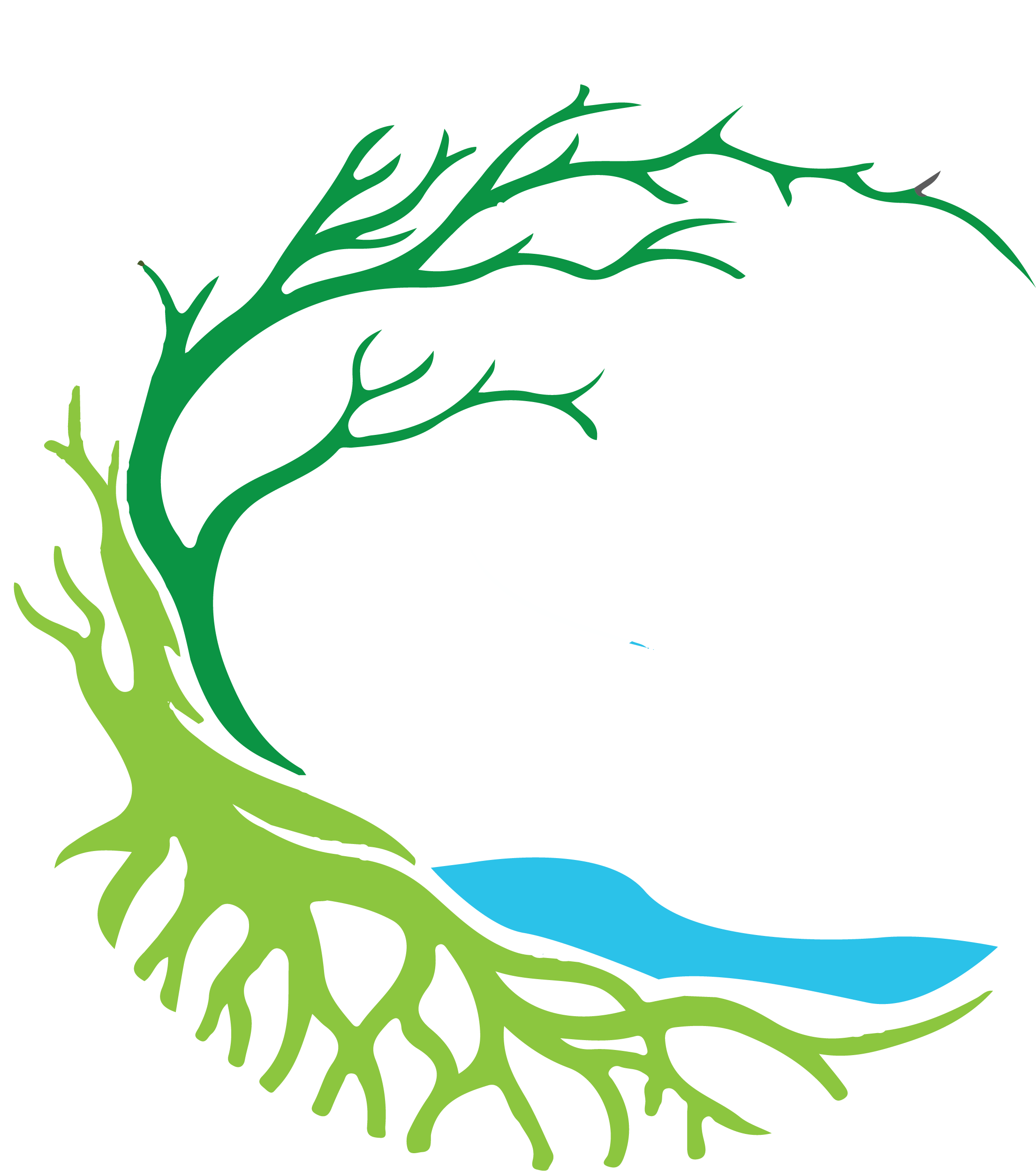 Hotel Uvita Forest