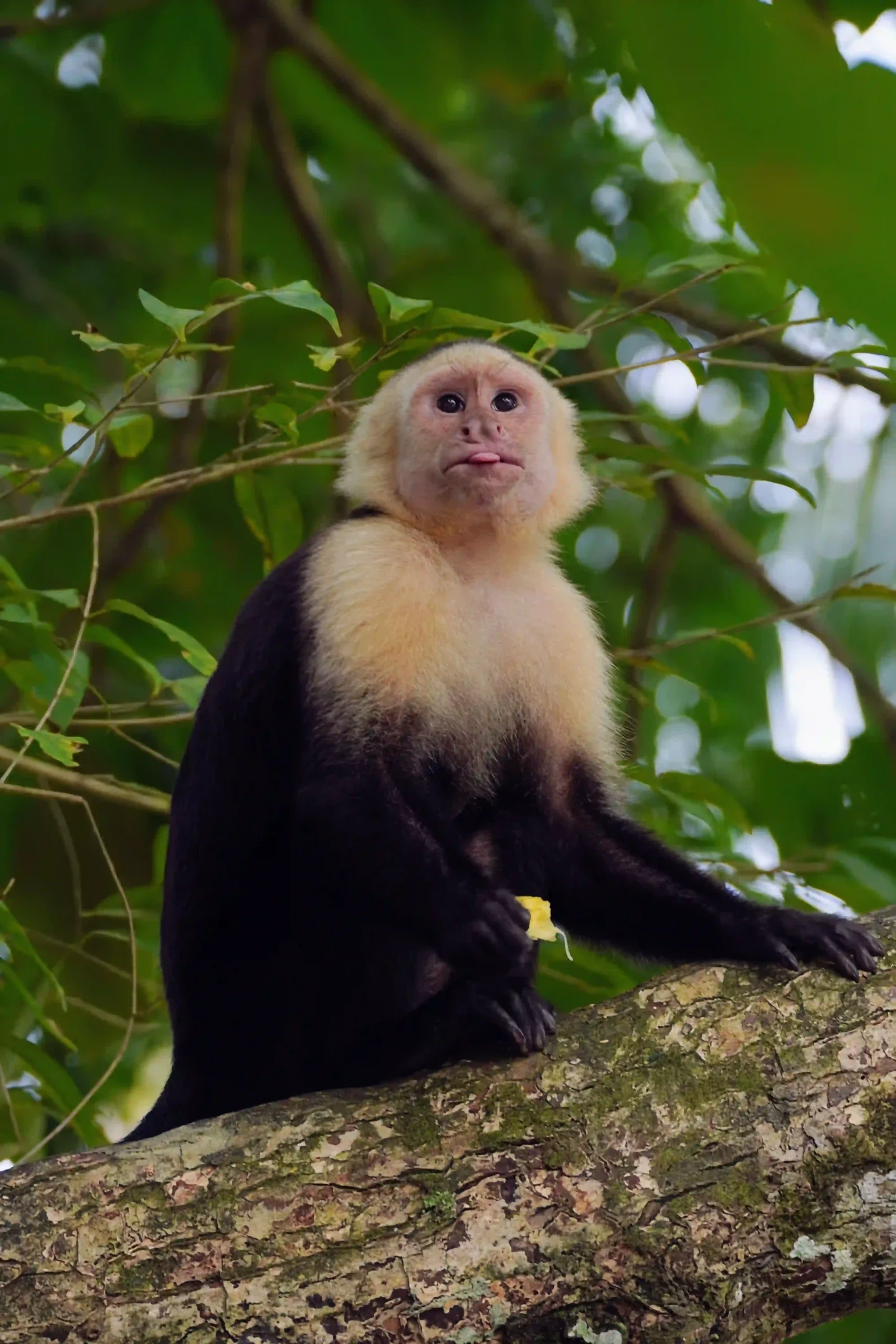 Parque Nacional Corcovado